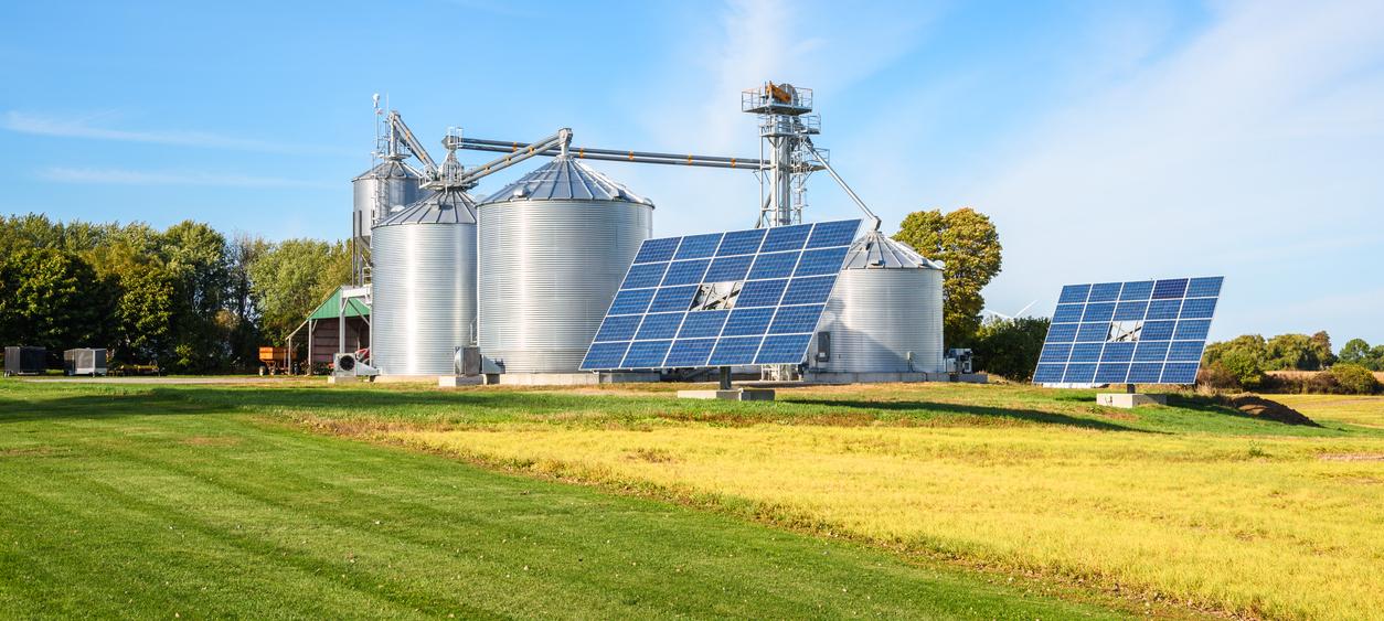 Farm and solar panels