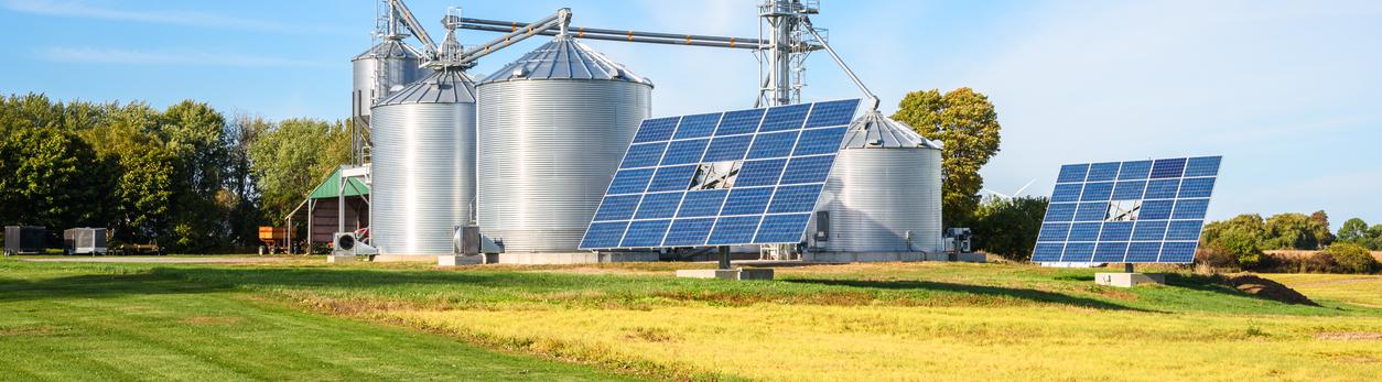 Farm and solar panels