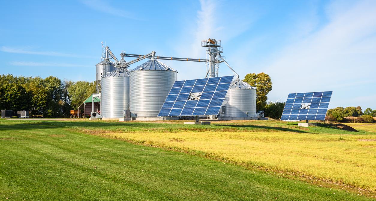 Farm and solar panels