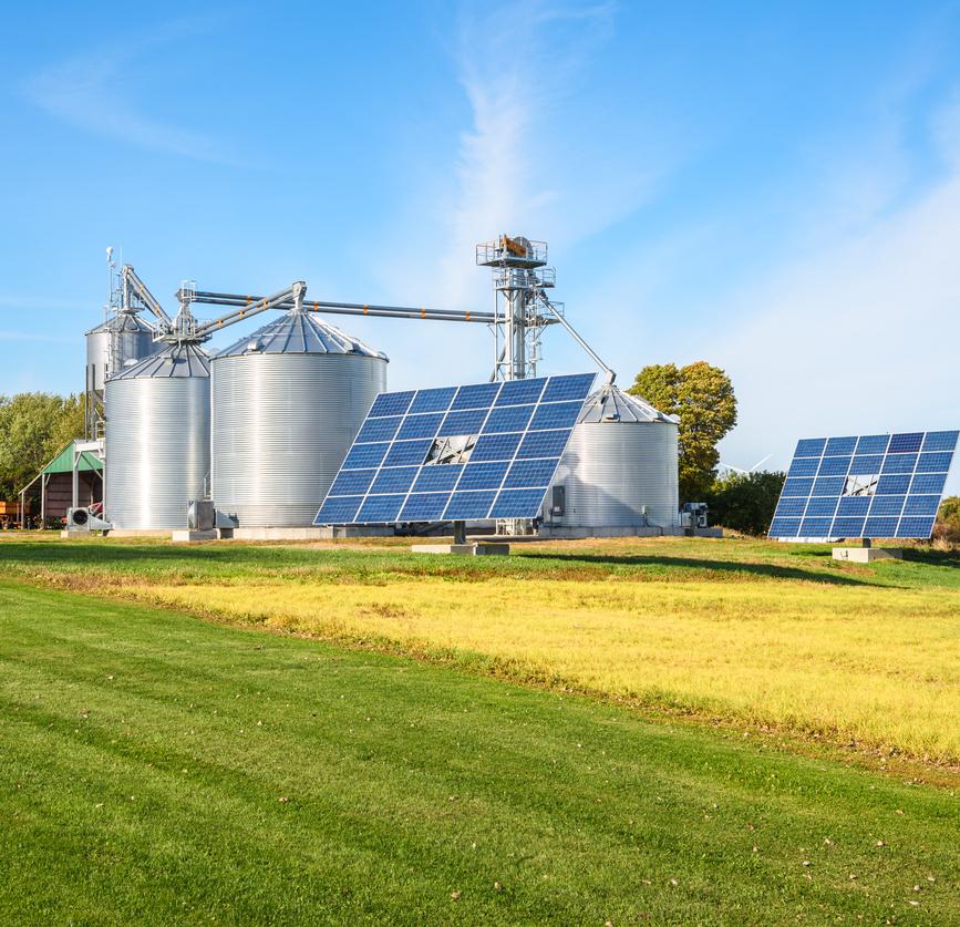 Farm and solar panels